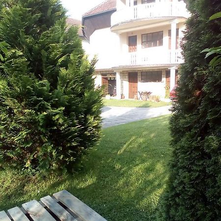 Guest House Aleksandra バイナ・バシュタ エクステリア 写真