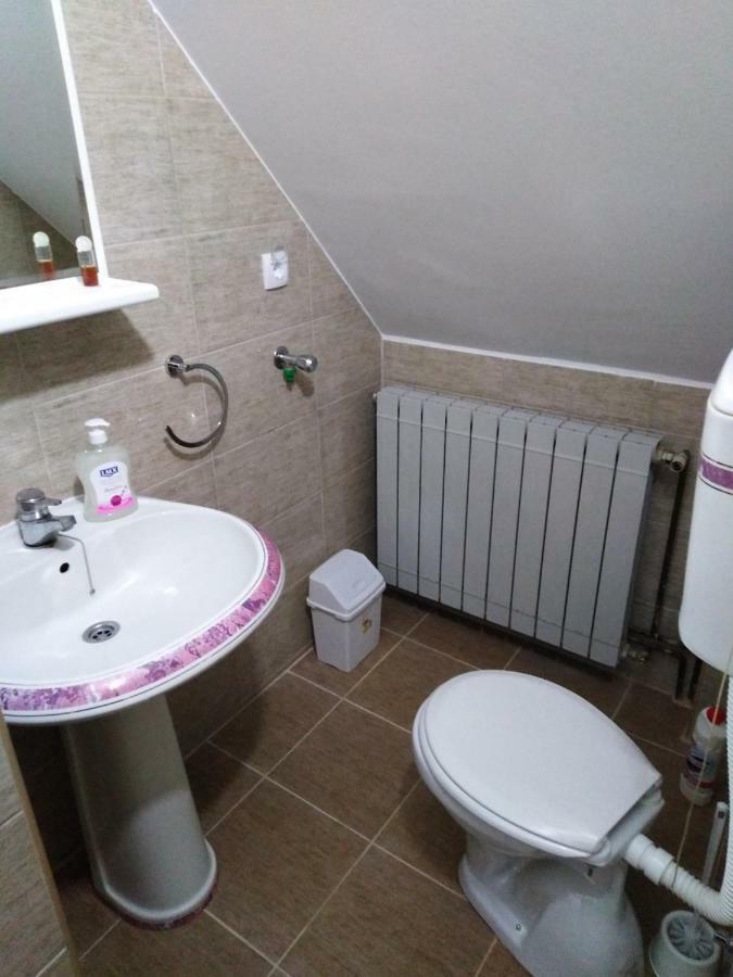 Guest House Aleksandra バイナ・バシュタ エクステリア 写真